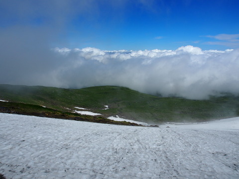 P8020061(1)