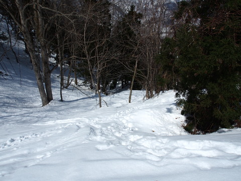 P4050045(1)