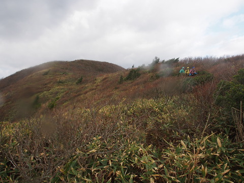 PB050054(1)