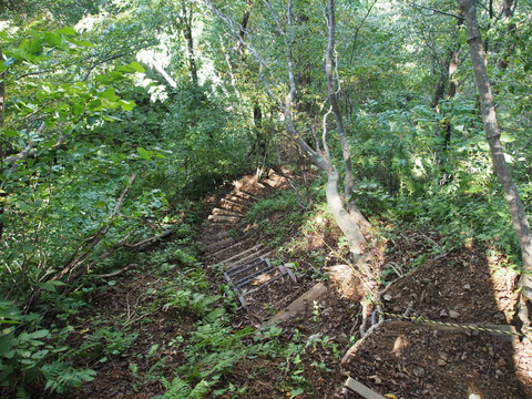 PA100479(1)