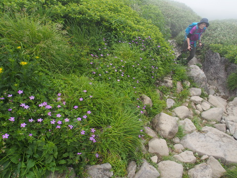 P8020044(1)
