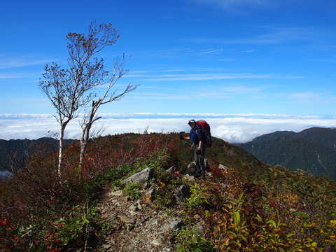 PA080084(1)