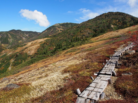 PA080093(1)
