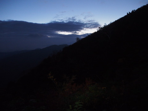 PA100420(1)