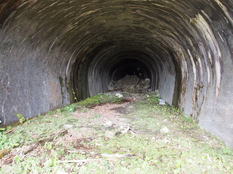 PB050023(1)