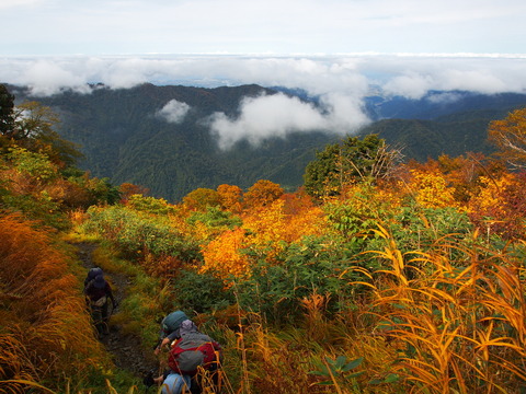 PA080072(1)