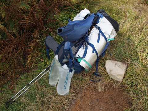 PA090388(1)