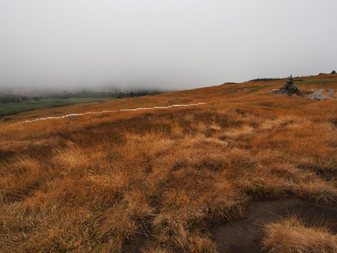 PA130039(1)