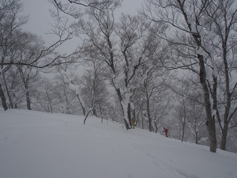 20180204_41