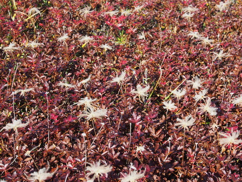 PA080100(1)
