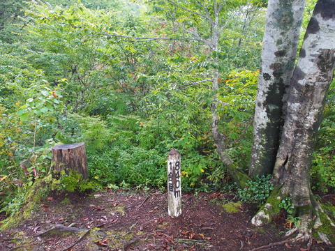 PA080007(1)
