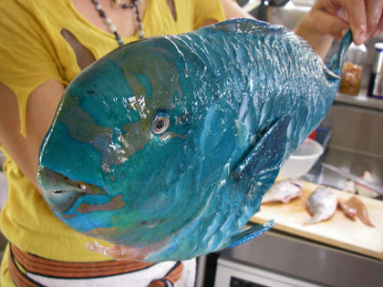 sakana
