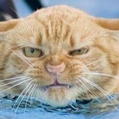 mkwievdywblcq5uy2v0c_400x400