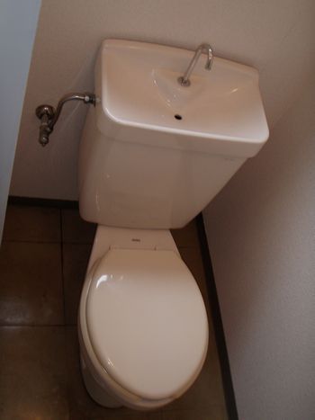 TOTO_P4110002