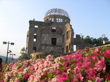 8eba88f3.jpg