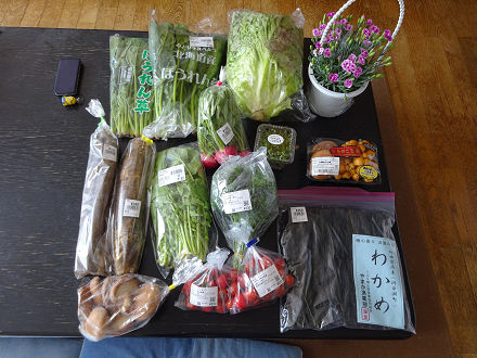 4道の駅野菜0009
