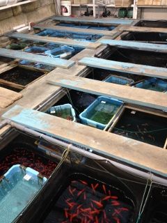 IMG_4630 (240x320)