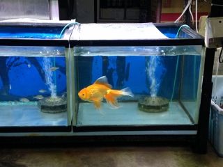 IMG_4632 (320x240)