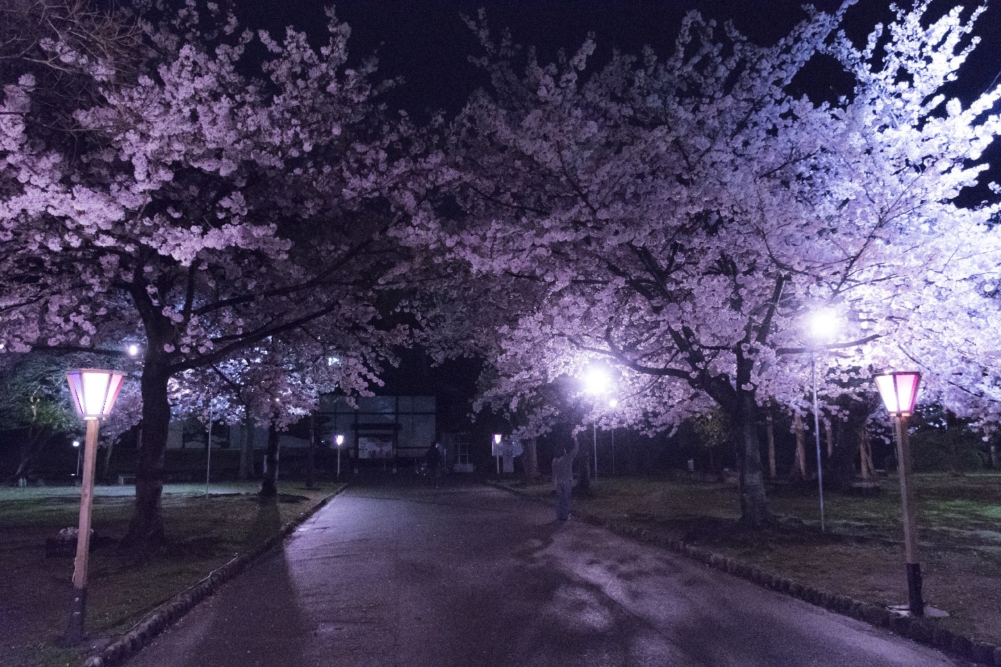 20170410-2054_00185
