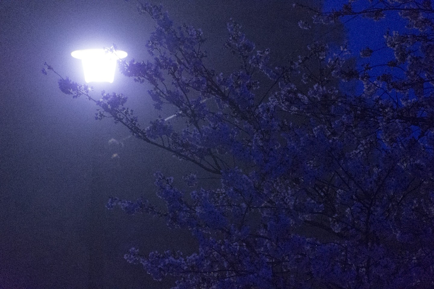 20170409-0519_00136