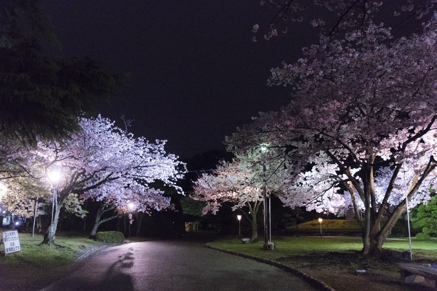 20170410-2103_00191
