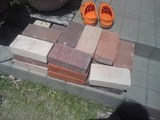 080506¥ì¥ó¥¬