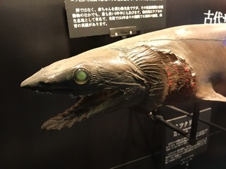 2017-12-11-12-49-22