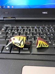 2017-06-04-06-59-47