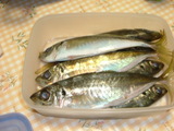 アジ