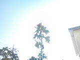091120