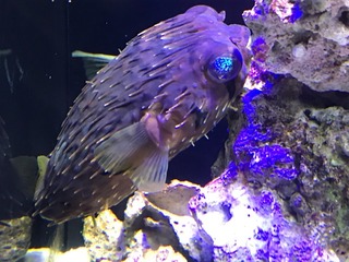 2017-12-11-12-26-14