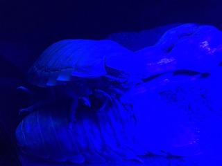 2017-12-11-12-47-04