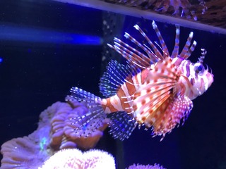 2017-12-11-12-24-59