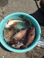 2016-05-01-12-08-22
