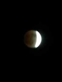 40aa6996.jpg
