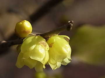 77889c06.jpg