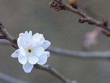 94cb78ca.jpg