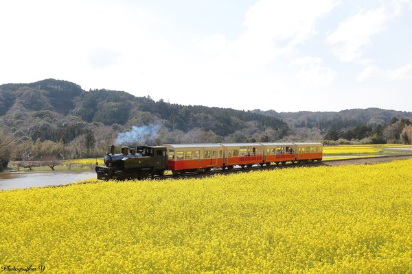 小湊鐡道、グッドデザイン賞受賞記念「トロッコ列車乗車整理券」発売