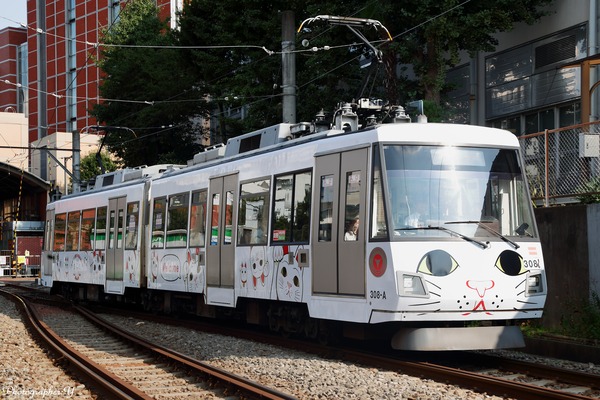 東京急行電鉄、玉電開通110周年記念「幸福の招き猫電車」を9月末まで運行期間延長