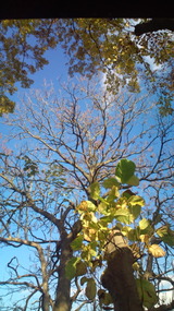 25f141b6.jpg