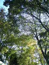 2b73eb79.jpg