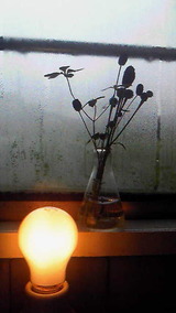 5b6a60db.jpg