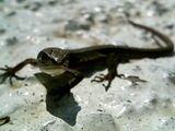 6579e2a0.jpg