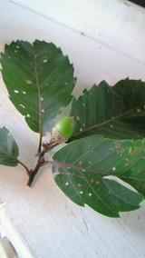 65ec4f8b.jpg