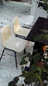 7049530c.jpg