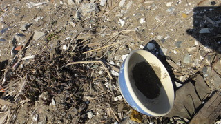 DSC01817