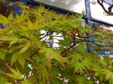 818895e5.jpg