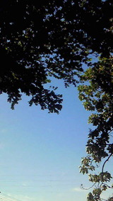 860f175f.jpg