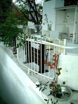 8cd6c658.jpg
