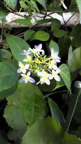 97e57999.jpg